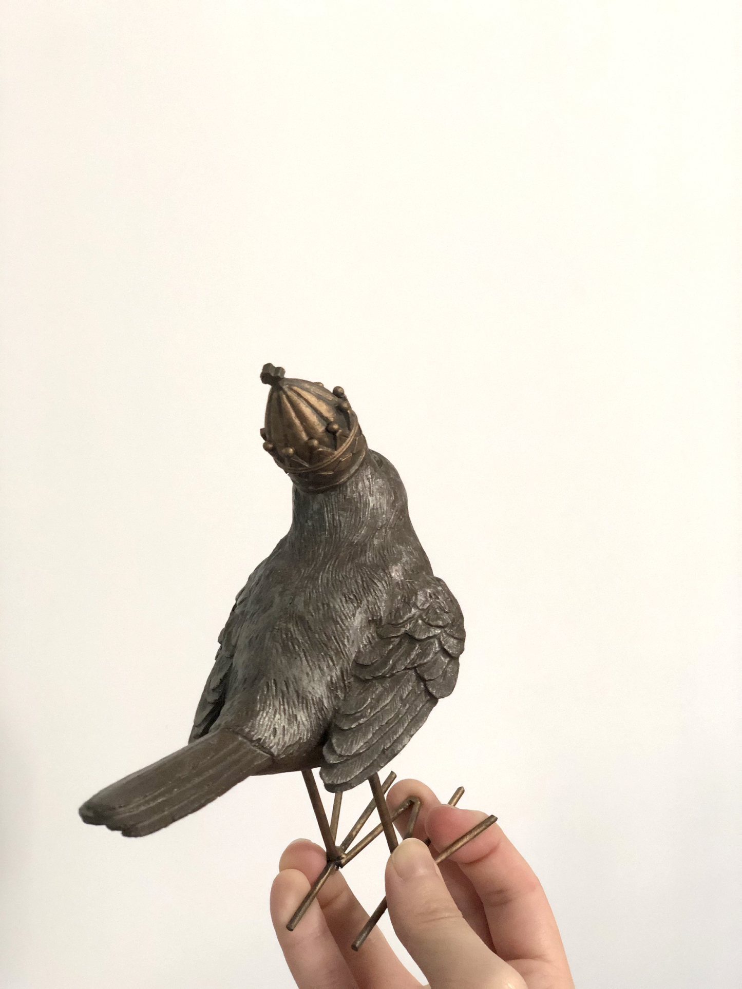 皇冠小鳥
