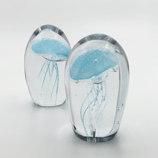 水母. 游