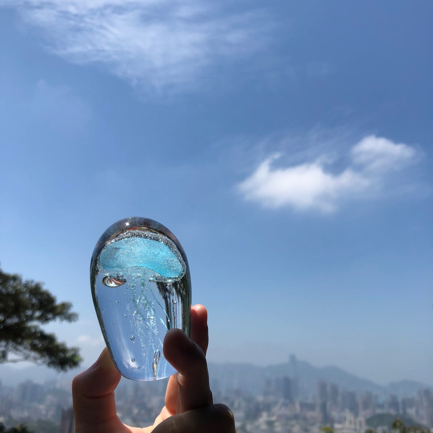 水母. 游
