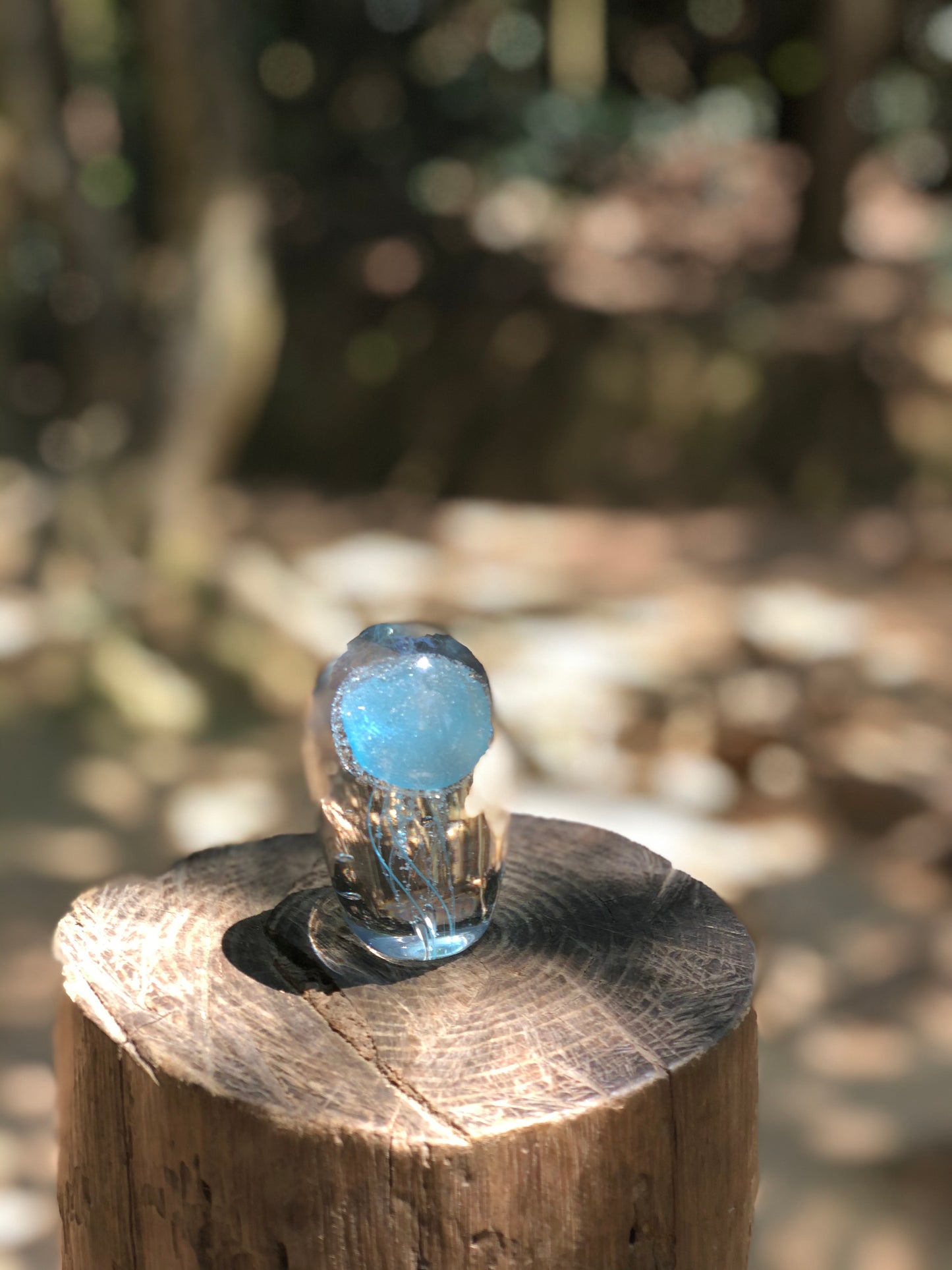 水母. 游